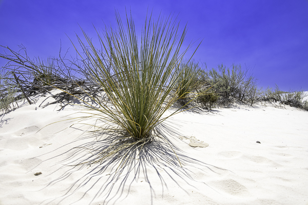 White Sands National Park